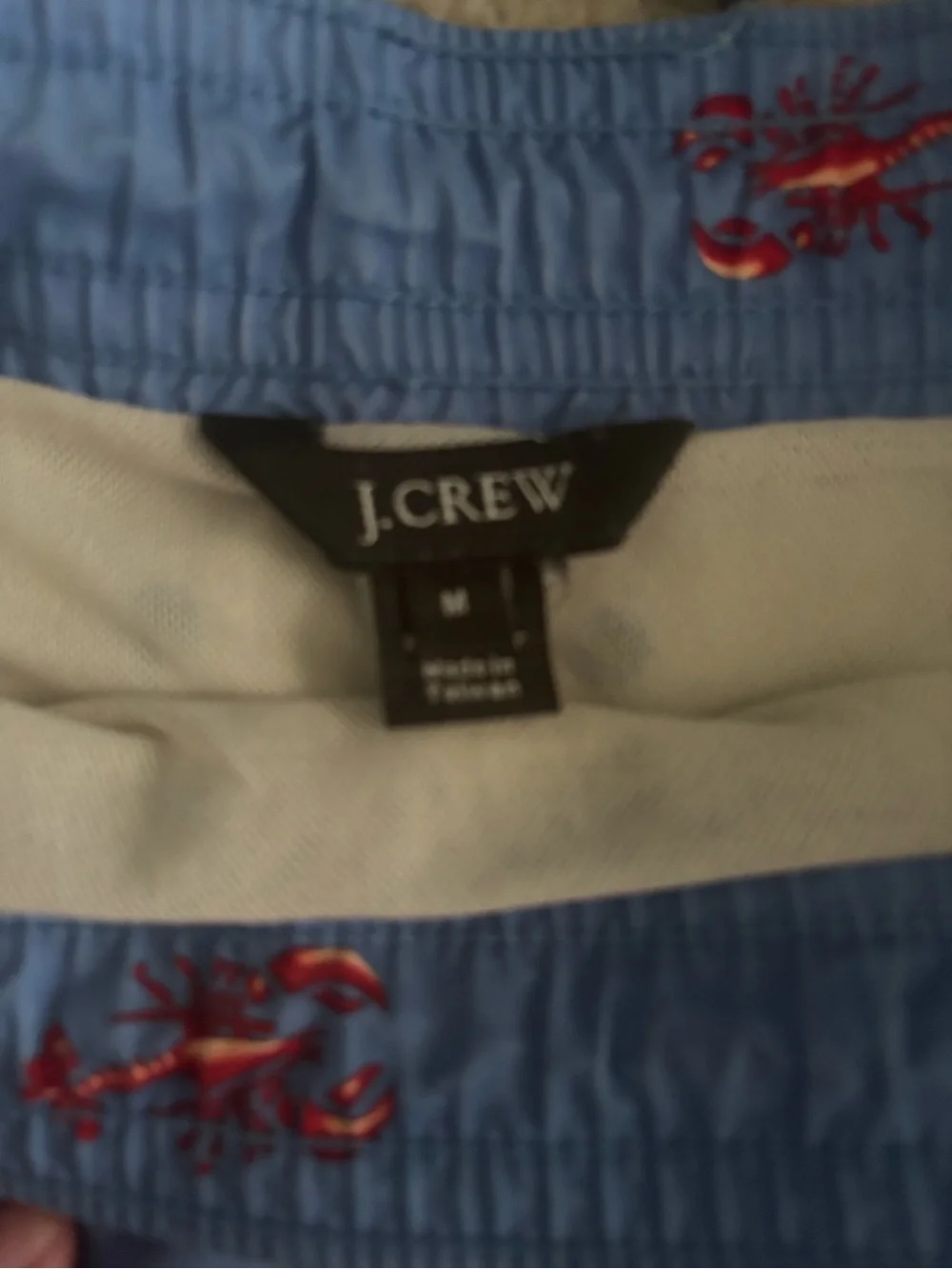 J. Crew Light Blue Swim Trunks with Red Lobster Embroidery